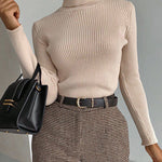 Long Sleeves Skinny Solid Color High Neck Pullovers Sweater Sweater Tops