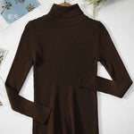 Vertical Stripe Knitted Turtleneck Sweater