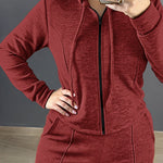 2 Pieces Outfit Long Sleeve Zip Up Drawstring Hoodie Coat and Casual Elastic Waist Seam Front Straight Leg Pants Set