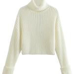 Ribbed Turtleneck Sweater