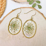 Resin Pressed Flower Earrings - Gold Shell Queen Anne's Lace