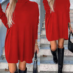 High Neck Long Sleeve Knit Sweater Dress