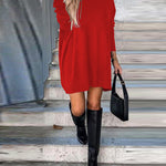 High Neck Long Sleeve Knit Sweater Dress