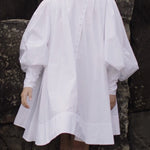 Long Sleeves Loose Buttoned Solid Color Stand Collar Mini Dresses Shirt Dress