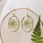Resin Pressed Flower Earrings - Gold Shell Queen Anne's Lace