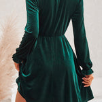 Turtleneck Long Sleeve Velvet Mini Dress