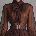 Women's Vintage Brown Chiffon Long-sleeved Short Dress With A Bow
