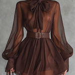 Women's Vintage Brown Chiffon Long-sleeved Short Dress With A Bow