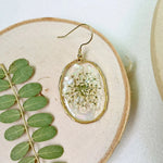 Resin Pressed Flower Earrings - Gold Shell Queen Anne's Lace