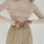 Long Sleeves Skinny Solid Color High Neck Pullovers Sweater Sweater Tops