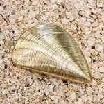 Margovil Trendy Chain Glitter Oyster Clutch Bag