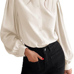Women's Silk Button Down Shirts V Neck Long Sleeve Casual Work Office Blouse Top - Nadorine (Us Only)