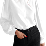 Women's Silk Button Down Shirts V Neck Long Sleeve Casual Work Office Blouse Top - Nadorine (Us Only)
