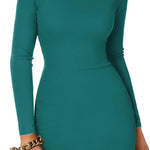 Nadorine Bodycon Dress Elegant Turtleneck Long Sleeve Dress (DE Only)