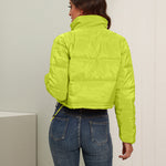 Short Puffer Jacket Stands Up Zipper Outerwear