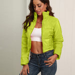 Short Puffer Jacket Stands Up Zipper Outerwear