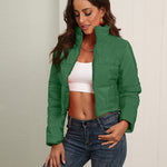 Short Puffer Jacket Stands Up Zipper Outerwear