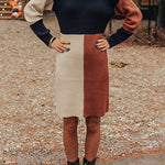 Winter Latte Knit Color Block Mock Neckline Sweater Mini Dress