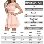 Sexy Mesh Mini Skater Dress - Nadorine (Us Only)