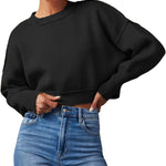 Zeagoo Womens 2024 Fall Crewneck Cropped Sweater