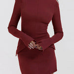 Mockneck Long Sleeves Bodycon Mini Dress
