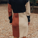Winter Latte Knit Color Block Mock Neckline Sweater Mini Dress