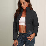 Short Puffer Jacket Stands Up Zipper Outerwear