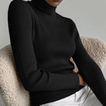 Vertical Stripe Knitted Turtleneck Sweater