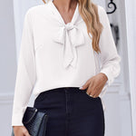 Nadorine Casual Bow Tie Neck Chiffon Long Sleeve Blouse for Women Casual Work Office Loose Fit 2026 | Under $40