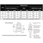 Long Sleeve Mesh Sheer Shirt - Nadorine (Us Only)