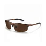 Titan Vision Shades