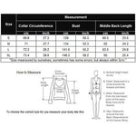 Long Sleeve Mesh Sheer Shirt - Nadorine (Us Only)