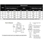 Long Sleeve Mesh Sheer Shirt - Nadorine (Us Only)