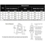 Long Sleeve Mesh Sheer Shirt - Nadorine (Us Only)