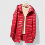 Estela | Sophisticated Coat