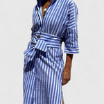 Phoenix | Sophisticated Dress