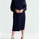 Elegant Sheer Sleeve Chiffon Dress