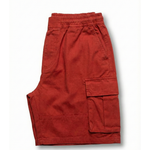 Trailblazer Cargo Shorts