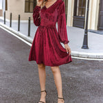 Nadorine Velvet Dress V-Neck Long Sleeve Stretch Mini Dress