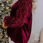 Sequin Patchwork Sleeve Button Up Velvet Top