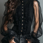Vintage High Neck Black Sheer Organza Blouse With Ruffle Trim