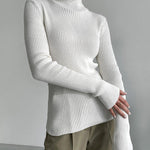 Long Sleeves Skinny Solid Color High Neck Pullovers Sweater Sweater Tops