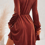 Turtleneck Long Sleeve Velvet Mini Dress