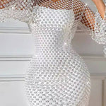 Sequined Mesh Hooded Bodycon Dress