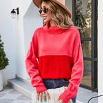 Nadorine Contrast Color Turtleneck Sweater