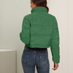 Short Puffer Jacket Stands Up Zipper Outerwear