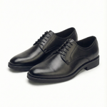 The Ledger Dress Oxford