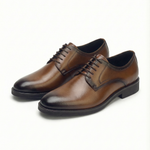 The Ledger Dress Oxford