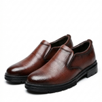 The Bradley Loafer